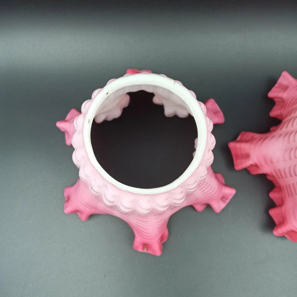 PAIRE DE TULIPES ROSES POUR LAMPE À PÉTROLE Baccarat? St-Louis? Clichy? Globe