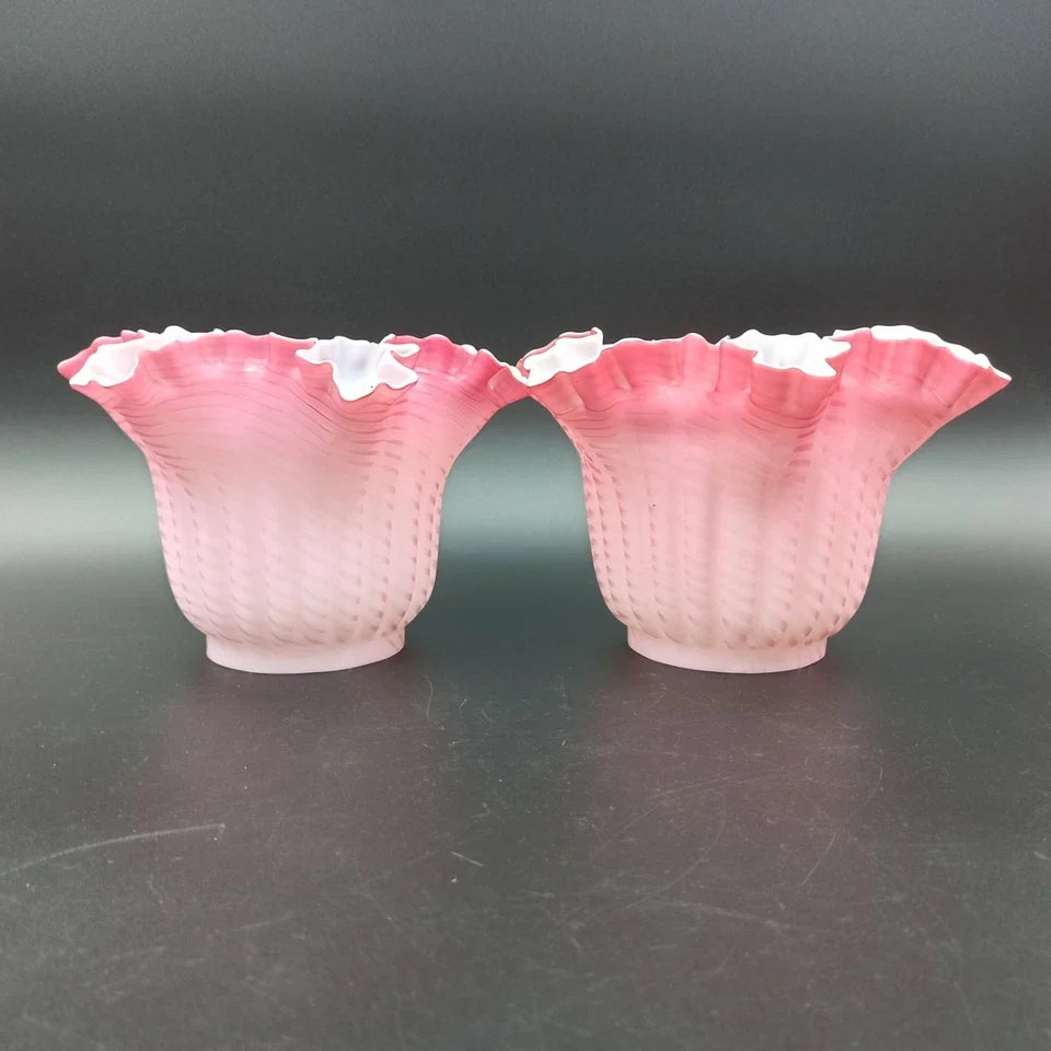 PAIRE DE TULIPES ROSES POUR LAMPE À PÉTROLE Baccarat? St-Louis? Clichy? Globe