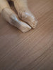 Ancienne poupée de mode François gaultier cuir et porcelaine
