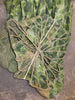 US WW 2 PARACHUTE T-5 HARNAIS 101 AB 82 AB VOILURE CASQUE OMAHA JEEP GI's