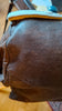 Blouson cuir pilote allemand WW 2