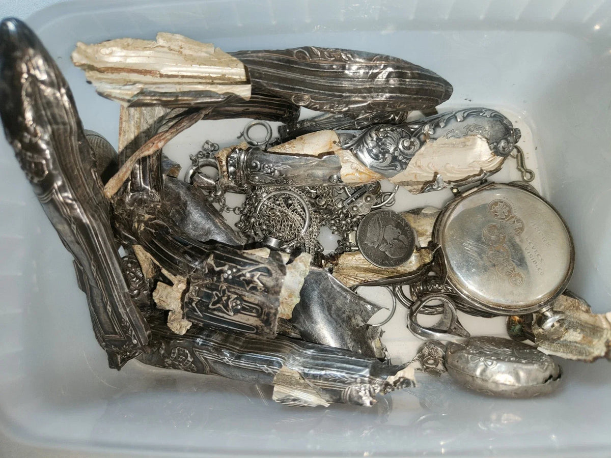 Lot argent massif à fondre 200gr Minerve Sanglier 925 Poids 200 Gr Pour Fonte