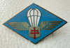 INSIGNE 1 ÉRE COMPAGNIE CHASSEURS PARACHUTISTES DE LA FRANCE LIBRE CAIRE BICHAY