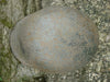 Authentique CASQUE ALLEMAND WW2