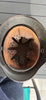 Authentique Casque allemand Modele 1940 Heer