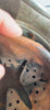 Authentique Casque allemand Modele 1940 Heer