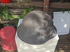 Authentique Casque Allemand Ww1