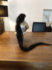 Authentique casque de dragon