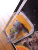 STAR WARS VINTAGE : BOBA FETT - MIRO MECCANO - SIGNATURE