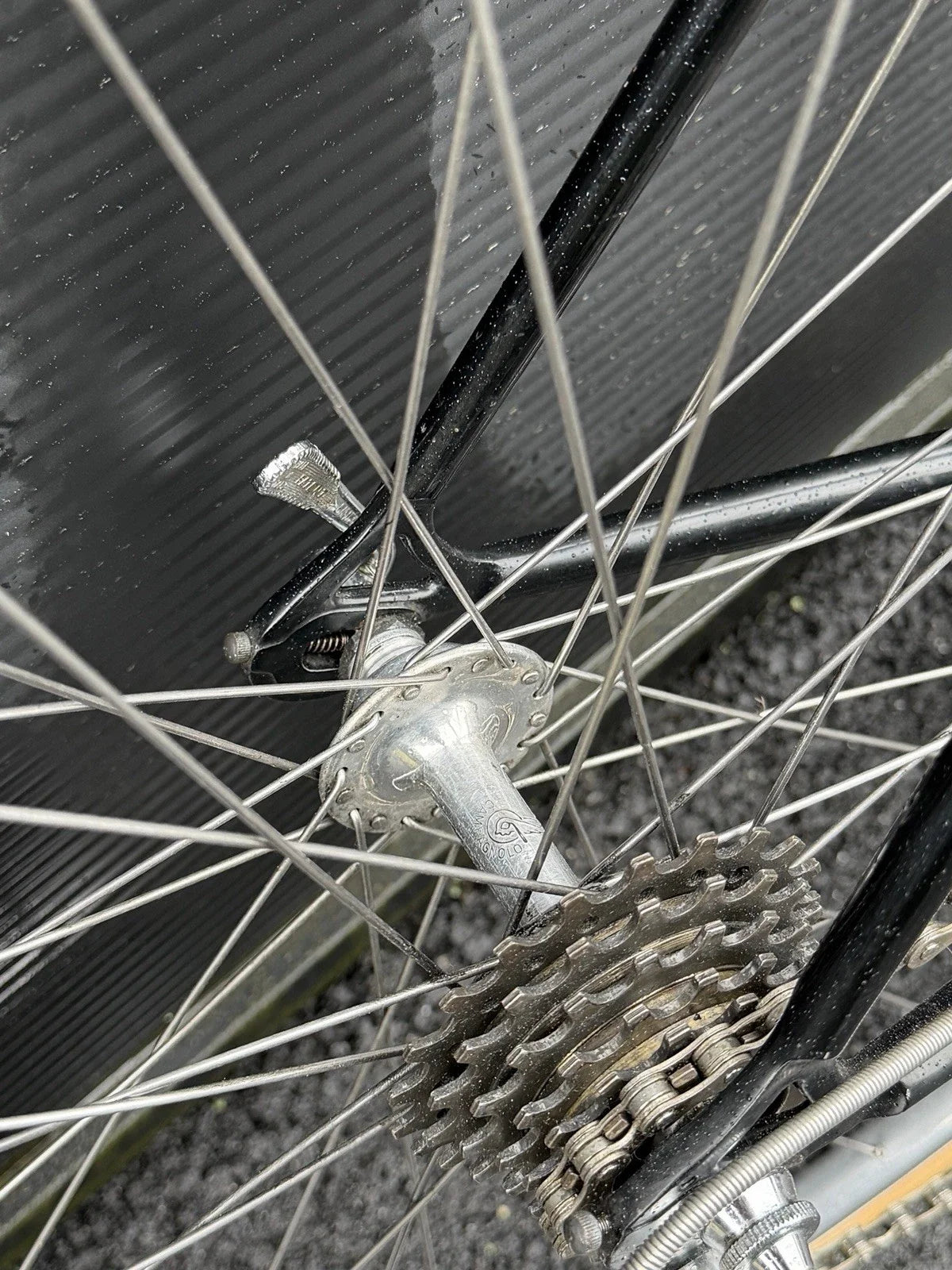 Colnago Super 1978/79 Saronni Campagnolo Panto Vintage Road Bike