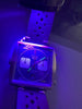 Chronographe Heuer Monaco Le Mans 1133 B Calibre 12 Steve Mc Queen 1971 Set rare