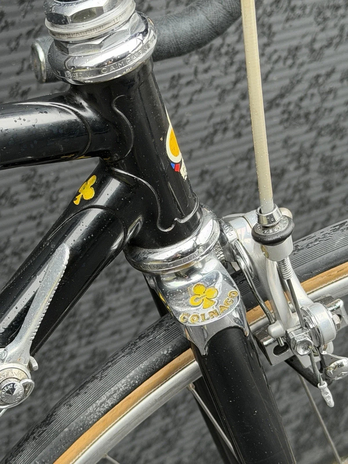 Colnago Super 1978/79 Saronni Campagnolo Panto Vintage Road Bike