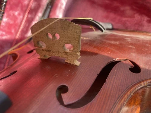 Violon 4/4 George Coné et fils à lyon 1937
