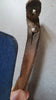 JUGULAIRE CASQUE ALLEMAND , ORIGINALE